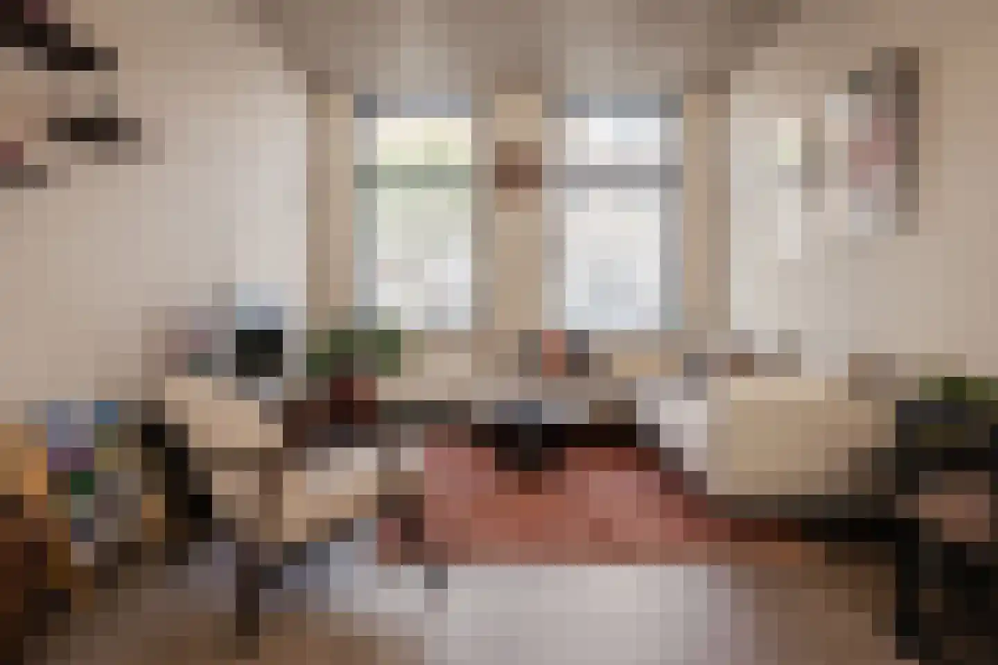 Tetterodestraat 92 Haarlem thumbnail 9