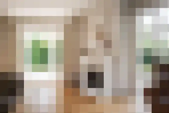 Tetterodeweg 3 e Overveen thumbnail 12