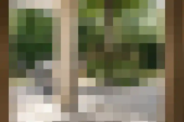 Tetterodeweg 3 e Overveen thumbnail 13