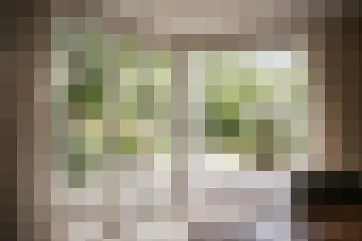 Tetterodeweg 3 e Overveen thumbnail 15