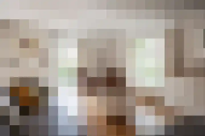 Tetterodeweg 3 e Overveen thumbnail 16