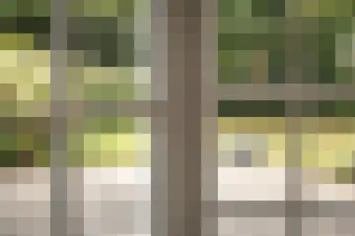Tetterodeweg 3 e Overveen thumbnail 18