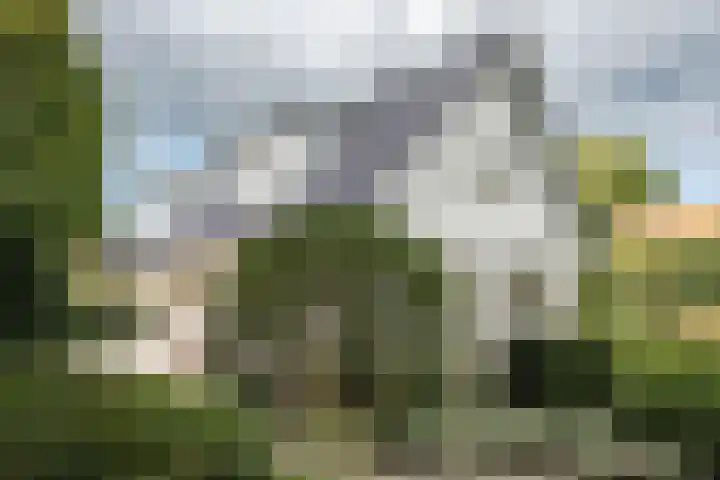 Tetterodeweg 3 e Overveen thumbnail 19