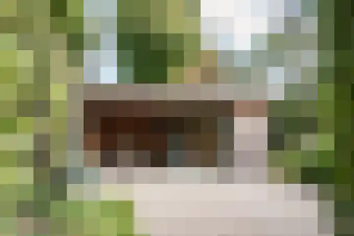 Tetterodeweg 3 e Overveen thumbnail 21