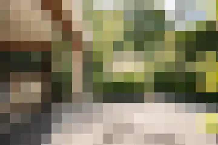 Tetterodeweg 3 e Overveen thumbnail 24