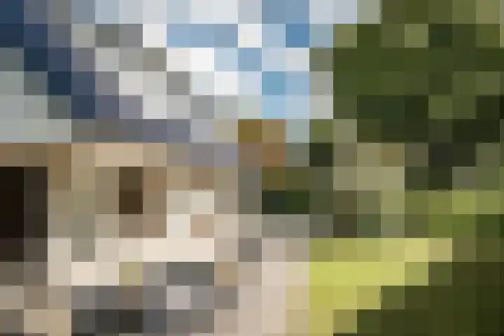 Tetterodeweg 3 e Overveen thumbnail 25