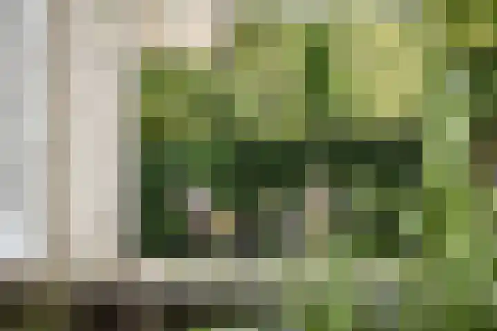 Tetterodeweg 3 e Overveen thumbnail 26
