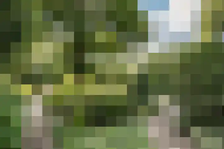Tetterodeweg 3 e Overveen thumbnail 29