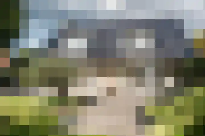 Tetterodeweg 3 e Overveen thumbnail 30