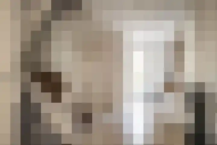 Tetterodeweg 3 e Overveen thumbnail 4