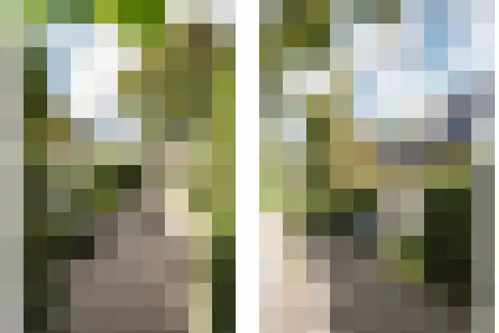 Tetterodeweg 3 e Overveen thumbnail 62