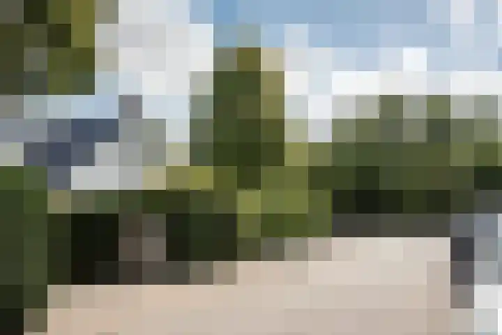Tetterodeweg 3 e Overveen thumbnail 66