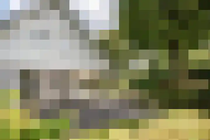 Tetterodeweg 3 e Overveen thumbnail 67