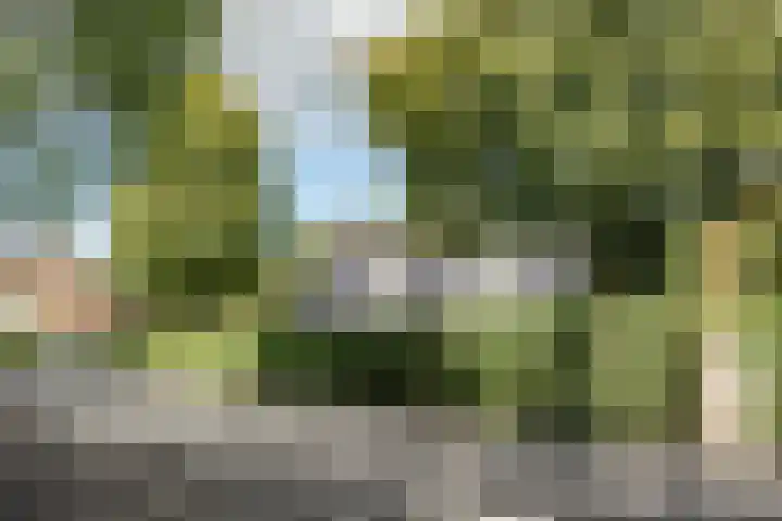Tetterodeweg 3 e Overveen thumbnail 68