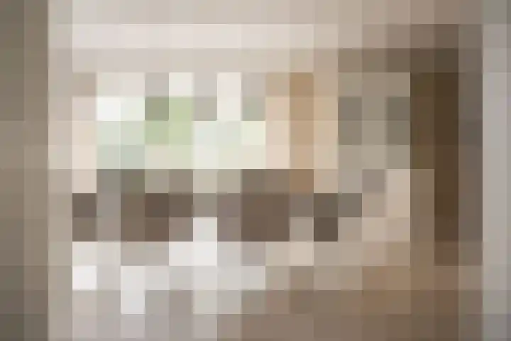 Tetterodeweg 3 e Overveen thumbnail 8