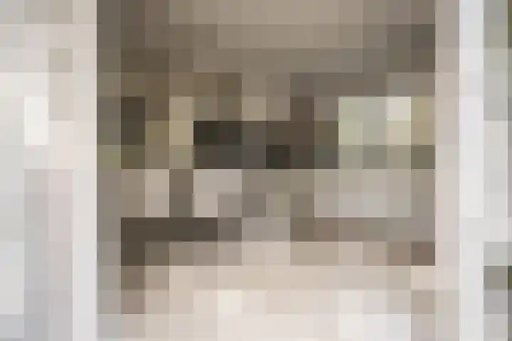 Tetterodeweg 3 e Overveen thumbnail 9