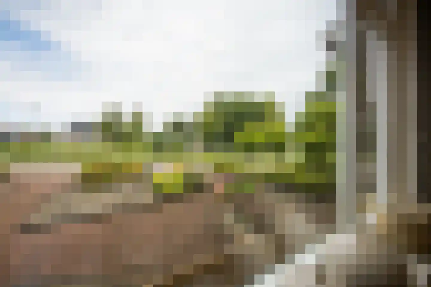 Tettingburren 10 Workum thumbnail 12