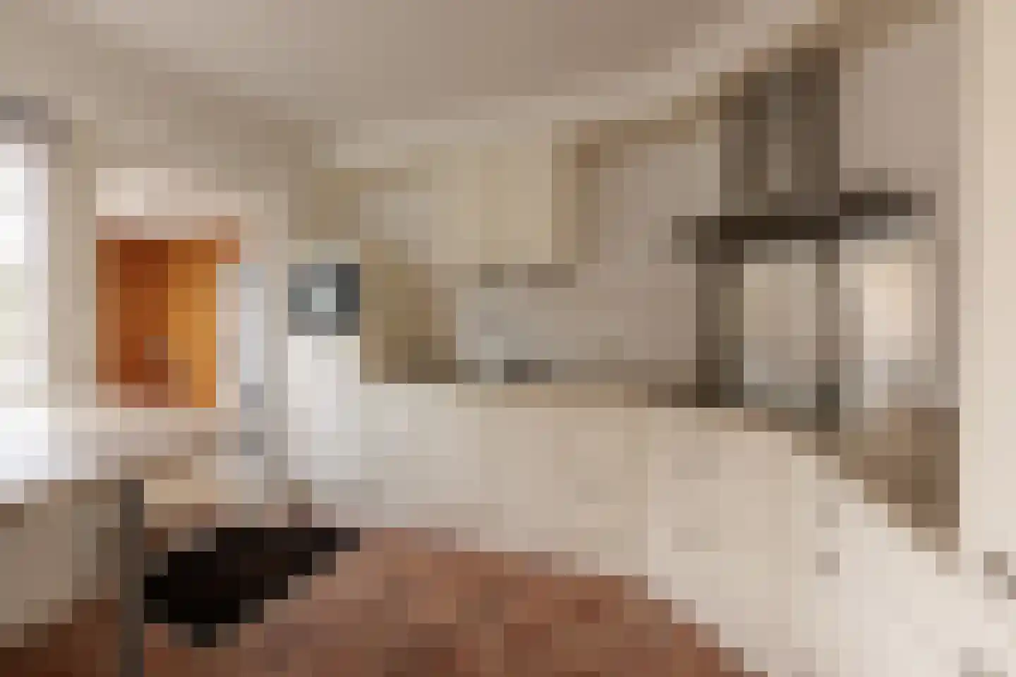 Tettingburren 10 Workum thumbnail 18