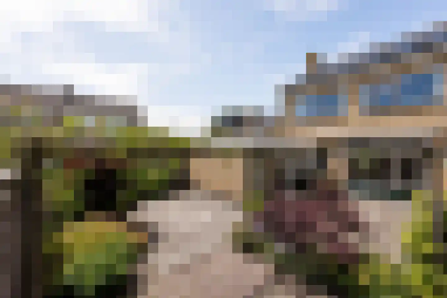 Tettingburren 10 Workum thumbnail 4