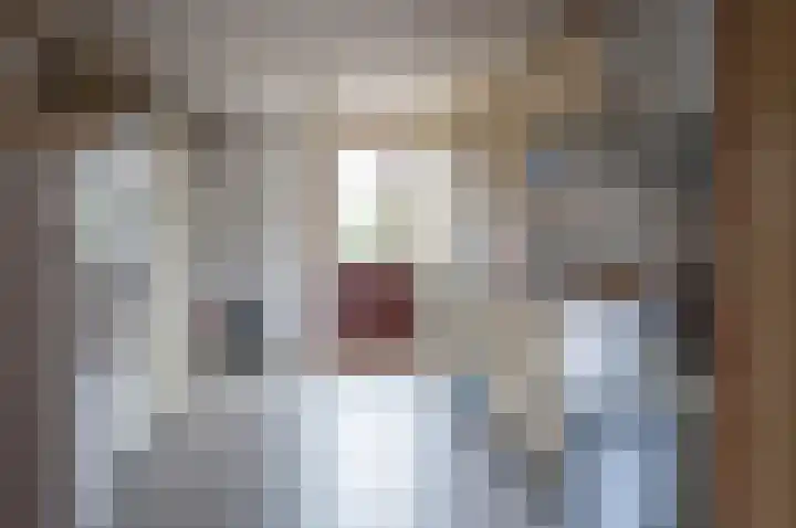 Teubenweg 20 Keijenborg thumbnail 23