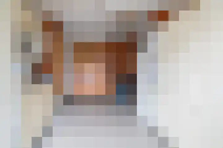 Teubenweg 20 Keijenborg thumbnail 24