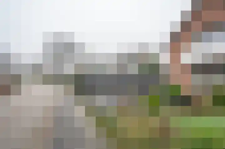 Teubenweg 20 Keijenborg thumbnail 4