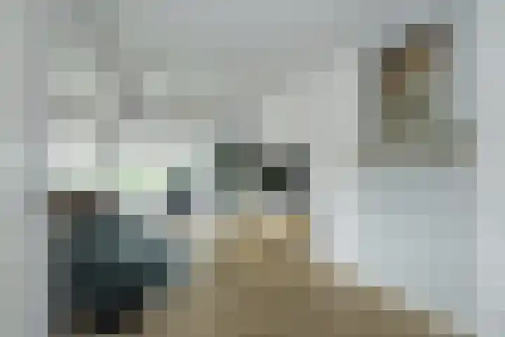 Teubenweg 24 Keijenborg thumbnail 14