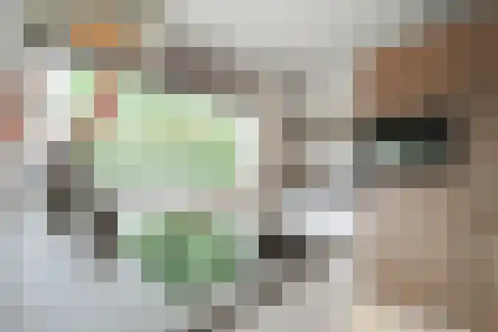 Teubenweg 24 Keijenborg thumbnail 20