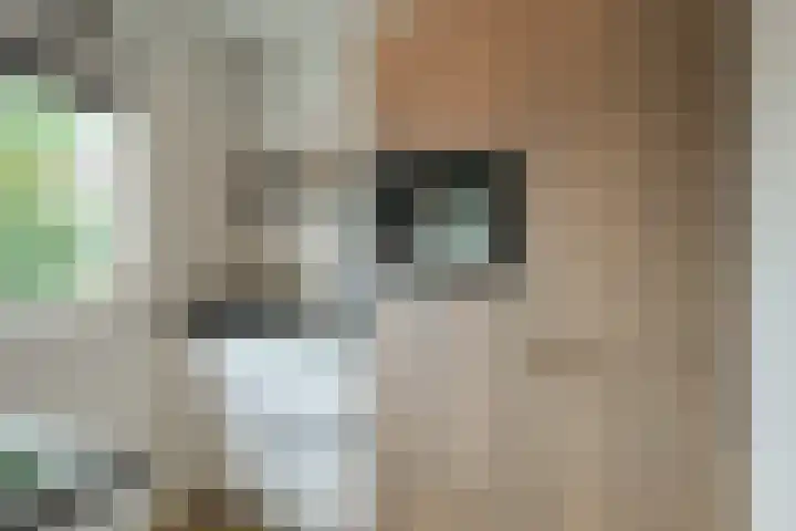 Teubenweg 24 Keijenborg thumbnail 21