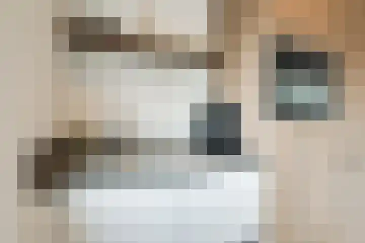 Teubenweg 24 Keijenborg thumbnail 22