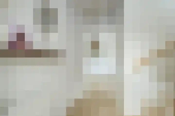 Teubenweg 24 Keijenborg thumbnail 26