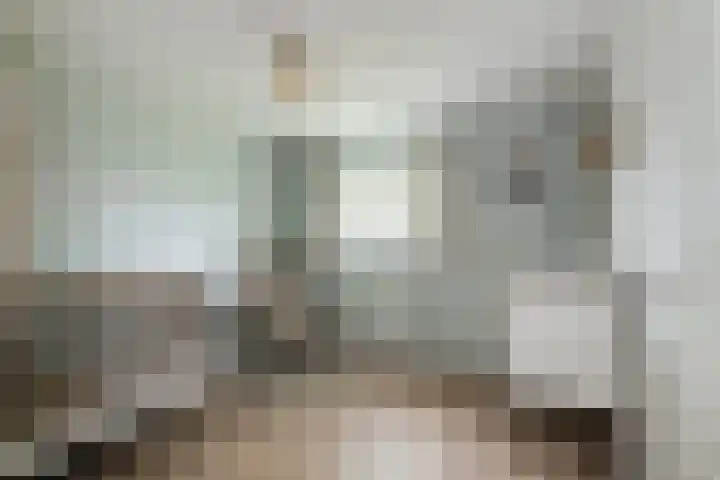 Teubenweg 24 Keijenborg thumbnail 33