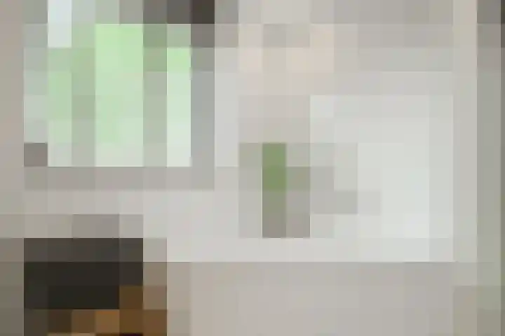 Teubenweg 24 Keijenborg thumbnail 36