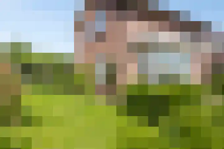 Teubenweg 27 Keijenborg thumbnail 33