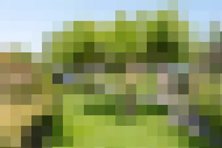 Teubenweg 27 Keijenborg thumbnail 34
