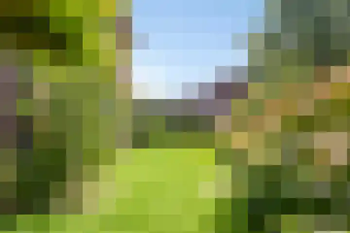 Teubenweg 27 Keijenborg thumbnail 35