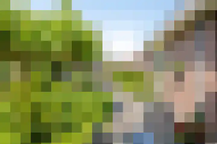 Teubenweg 27 Keijenborg thumbnail 36