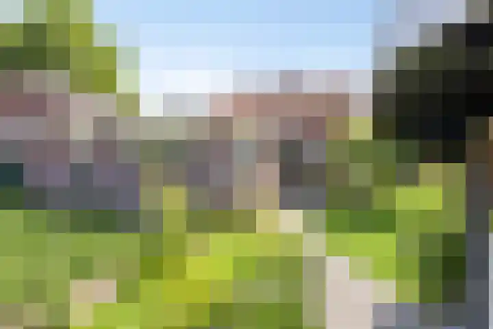 Teubenweg 27 Keijenborg thumbnail 39