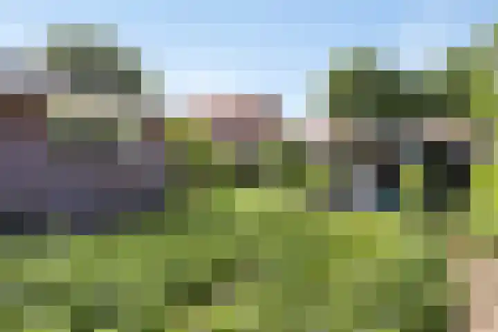 Teubenweg 27 Keijenborg thumbnail 40