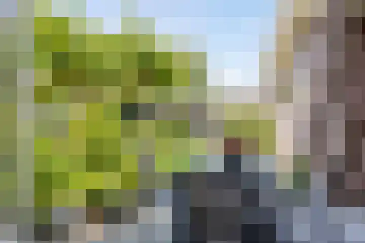 Teubenweg 27 Keijenborg thumbnail 43