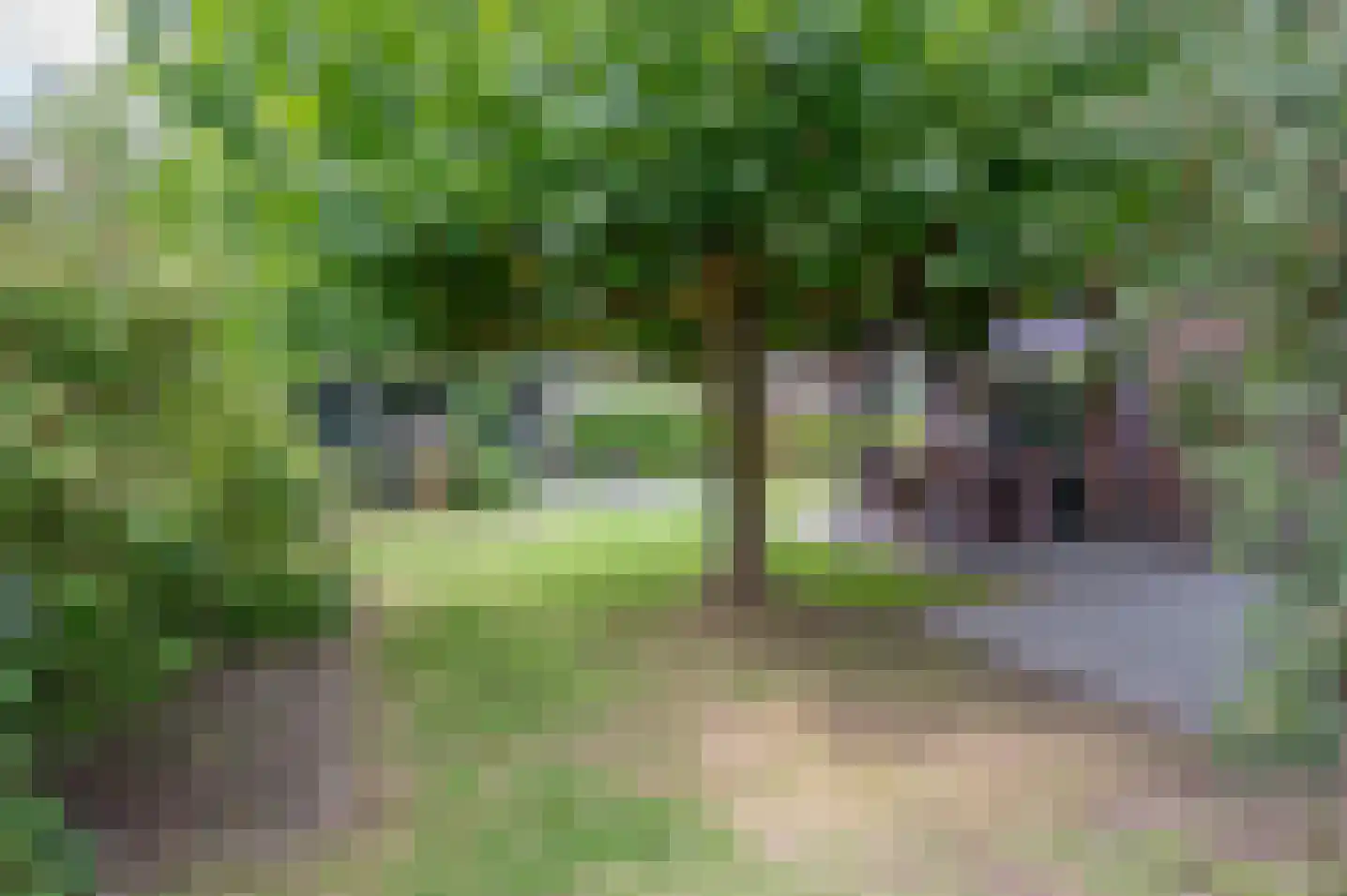 Teubenweg 27 Keijenborg thumbnail 43