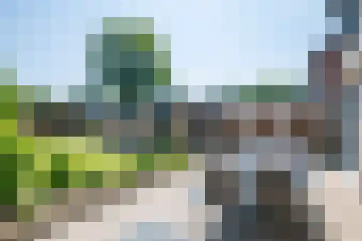 Teubenweg 36 Keijenborg thumbnail 44