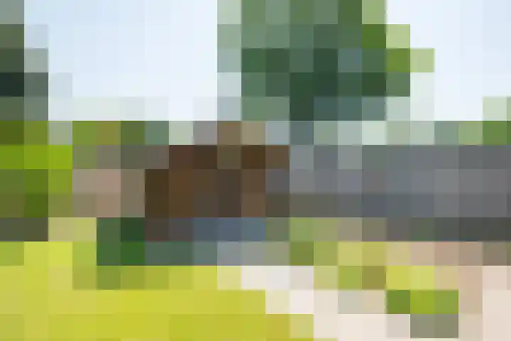 Teubenweg 36 Keijenborg thumbnail 48