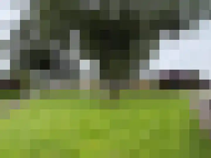 Teugel 6 Hasselt thumbnail 10