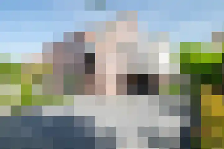 Teugel 6 Hasselt thumbnail 11