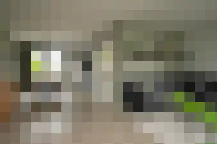 Teugel 6 Hasselt thumbnail 17
