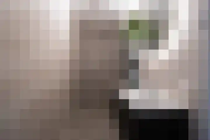 Teugel 6 Hasselt thumbnail 19