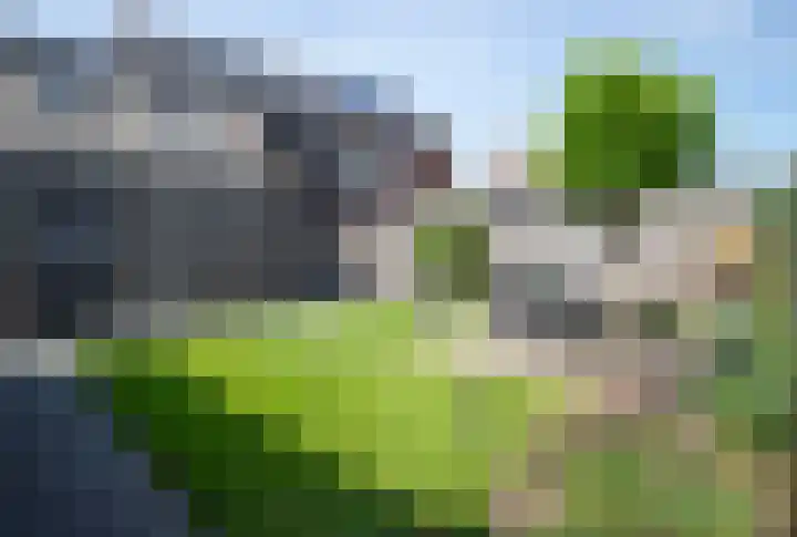 Teugel 6 Hasselt foto 2