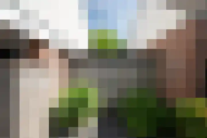 Teugel 6 Hasselt thumbnail 25