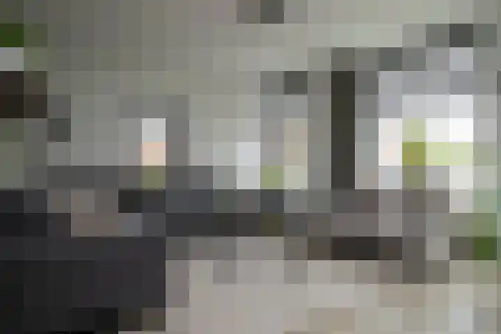 Teugel 6 Hasselt foto 3